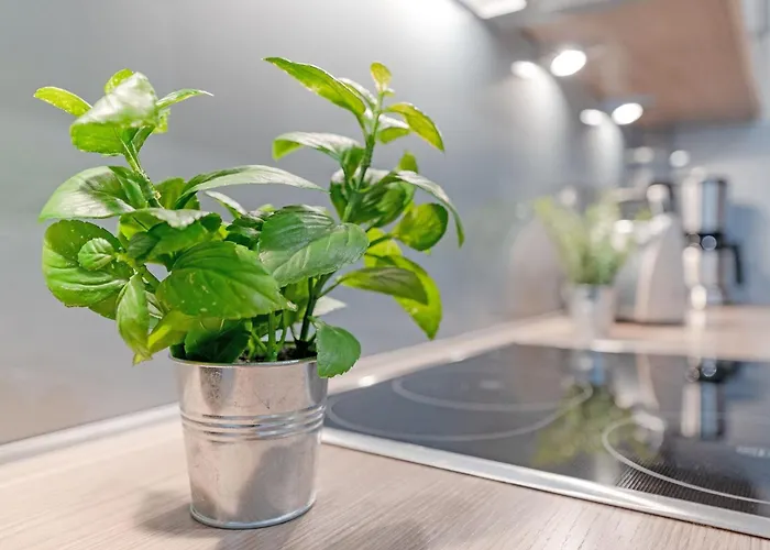 Esprit 4 Apartamento *